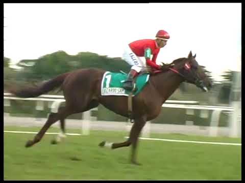 2006 10 14 Gran Premio JOCKEY CLUB G 1 2006   GRAN ESTRENO - HSI