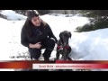 WAG TV Episode 1 Sarah Belle