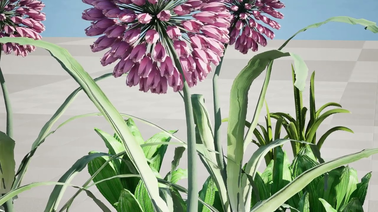 Arabian Wild Leek 3D Model