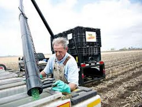 Organic Farmers Take On Monsanto