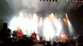 Fury in the slaughterhouse * Drug addicted ... Dortmund 2007