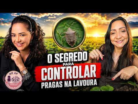 Manejo e Identificação de Pragas Agrícolas com Gisa Fernandes | Podcast Conexão Feminina🐛