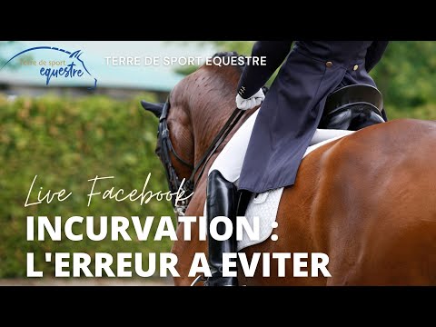 Horse Bending: The Mistake to Avoid!