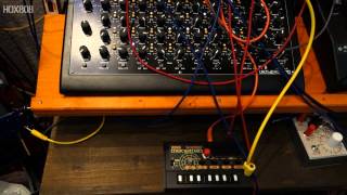 MONOTRON DELAY RESONANCE MOD + CV FOR FILTER/ TB 303 goes through the KORG MONOTRON MS 20 FILTER