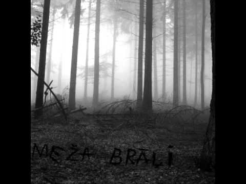 Meža brāļi - bāra dziesma