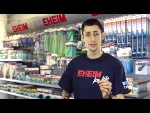 Watch Video on YouTube