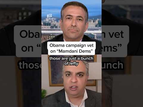 Obama campaign vet on 'Mamdani Dems'