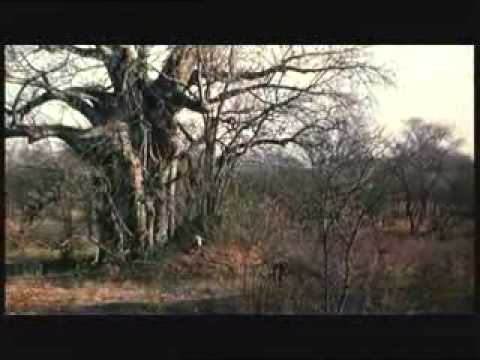 Anthony Field-Water Of Love (original-Voda, čo ma drží nad vodou/Water, which keeps me afloat)