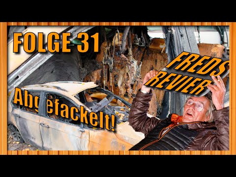 At Fred's Junkyard (rare Dodge and awesome fan gift) | Fred's Territory Episode 31