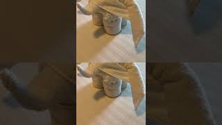Cruise ship Towel Animals on Royal Caribbean Allure #cruiseship #cruise #vacation #travel