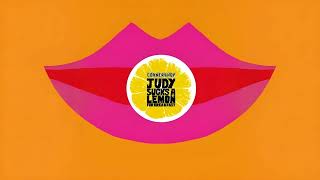 Cornershop - Operation Push (Instrumental)