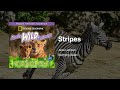 Stripes Really Wild Animals Music Swinging Safari