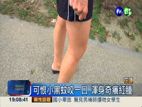 小黑蚊剋星! 大型噴火管"烤青苔"