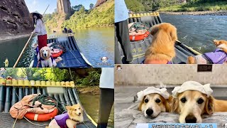 【犬連れVlog】大自然で水遊び＆温泉気分のリラックスタイム🐾 | 次回は明月山で会いましょう | Wna's vlog