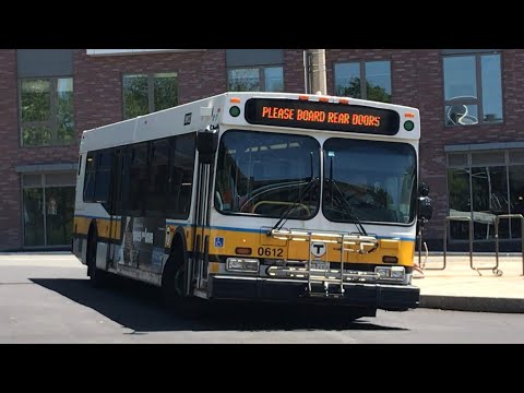 Yoshi’s Reading Rush | Yoshi's Ride Series {S13-E04} - Riding the 137 🚌 - {MBTA} | PATRON REQUEST