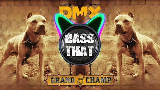 DMX - We Go Hard (Bass Boosted) ft. Cam&#39;ron