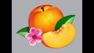 Phoenix - Chloroform