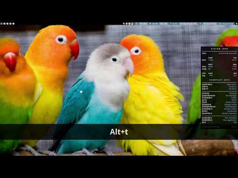 ArcoLinux : 460 sneak preview of ArcoLinuxB Awesome