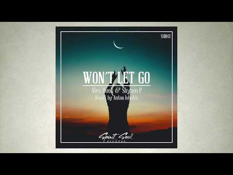 Alex Hook & Shyam P - Won´t Let Go (Anton Ishutin Remix)