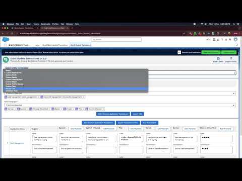 Auto Translate Demo