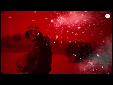 ALIBI (Official Video) Taran Mavi | New Punjabi Songs 2025 |