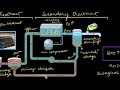 Sewage Treatment | Microbes in Human Welfare | Biology | Khan Academy