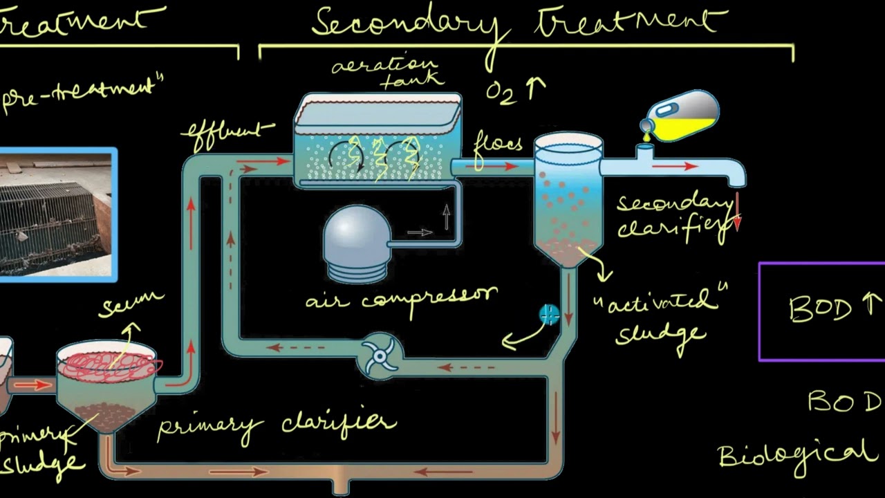 Sewage Treatment | Microbes in Human Welfare | Biology | Khan Academy