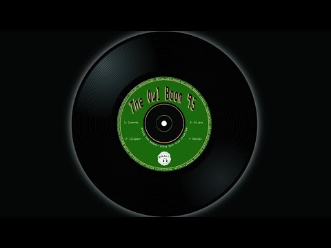 02 The Owl Boom-95 - Drivers (original mix)