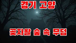 진짜 귀신 이야기 - 곶자왈 숲 속 무덤