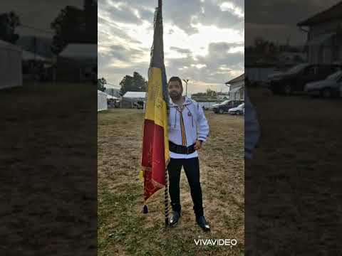 Țara mea - Vasile Antonie Tămaș