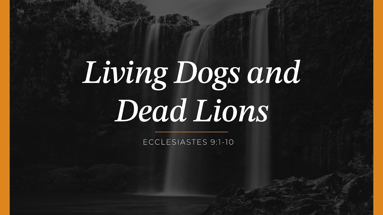Living Dogs and Dead Lions (Ecclesiastes 9:1-10)