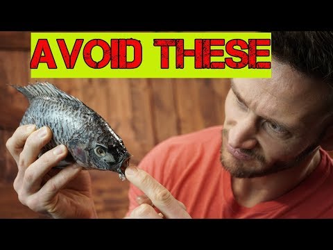 YouTube video about: Can you have fish sauce on keto?