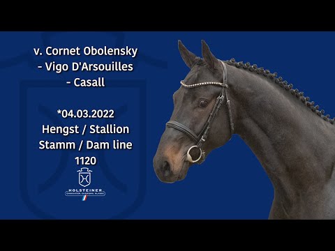 Holsteiner Körlot 2024 | Nr. 24 Cornet Obolensky - Vigo D'Arsouilles - Casall