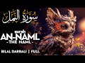 Surah An Naml سورة النمل القارئ بلال دربالي Bilal Darbali Quran Recitation 