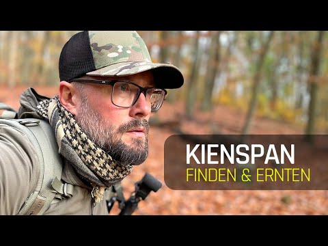 Kienspan | Suchen, Finden & Ernten | Survival Basics | deutsch | Feuerabend | 025 |  2023