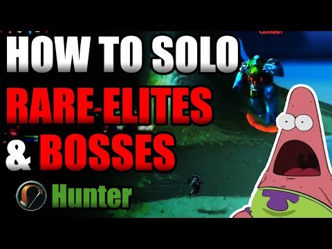 How To Solo Rare Elites & Bosses On a Hunter