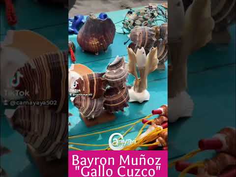 Bayron Muñoz, es conocido en Champerico, Retalhuleu como "Gallo Cuzco".