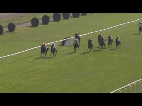 2. dostih - CENA KS MESSENGER - Videa z Pražského zimního favorita 2018 v Chuchli