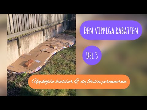 DEN VIPPIGA RABATTEN - Del 3 - Upphöjda bäddar och de första perennerna