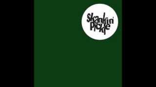 gas in my car by skankin' pickle lyrics