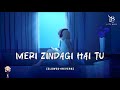 Meri Zindagi Hai Tu X Asim Azhar LOFI Song Pakistani Hit Song AsimAzharMusicofficial