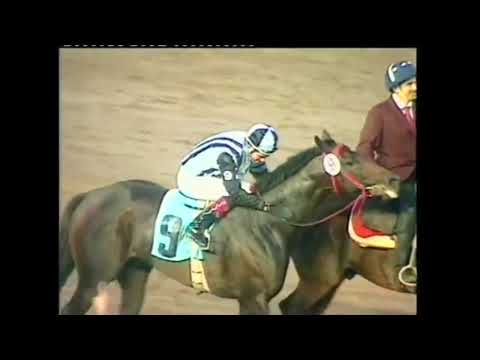 2007 Gran Premio Latinoamericano Hipodromo de La Plata Argentina GOOD REPORT ARG