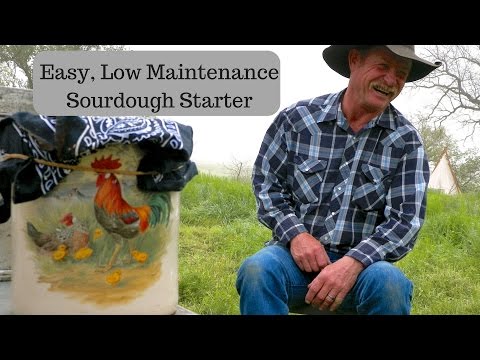 Quick and Easy Sourdough Starter Recipe