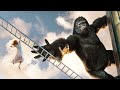 Kong Si Arrampica Sull Empire State Building King Kong Clip In Italiano