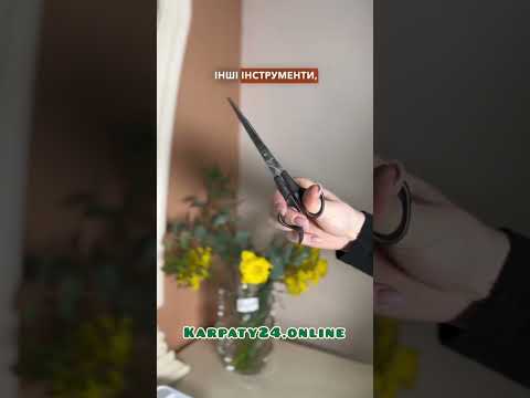Набор для груминга Saeday SD-865, триммер 10 Вт, аккумулятор, 4 насадки, для собак и кошек, стрижка шерсти - фото 1 - id-p2629084329