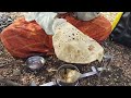 तीळ काढणी पाण्याची बोंब वादळवारा Ytviral Tre