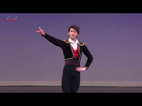 YAGP 2017 NYC FINALS - Top Winners - Pre Competitive, Juniors, Seniors