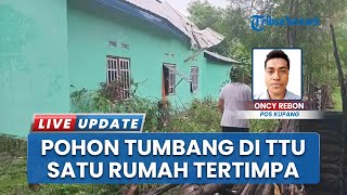 Badai Landa TTU, Rumah di Desa Humusu Wini Tertimpa Pohon Tumbang, Warga Selamatkan Barang Berharga