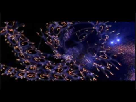 Hackers PRODIGY   voodoo people