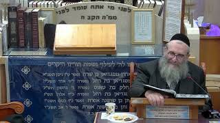 הרב יהושע ויזגן מסכת חולין דף נט עמוד ב' (בית הכנסת מוסאיוף) - התמונה מוצגת ישירות מתוך אתר האינטרנט יוטיוב. זכויות היוצרים בתמונה שייכות ליוצרה. קישור קרדיט למקור התוכן נמצא בתוך דף הסרטון